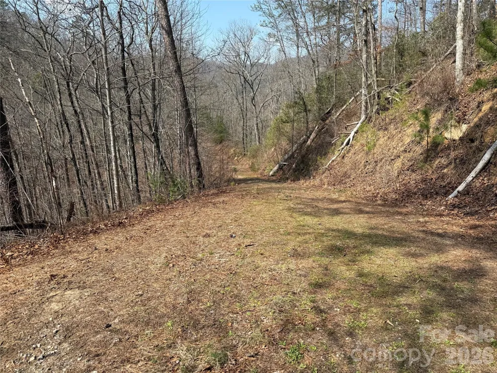 128 Mamies Way Robbinsville, NC 28771