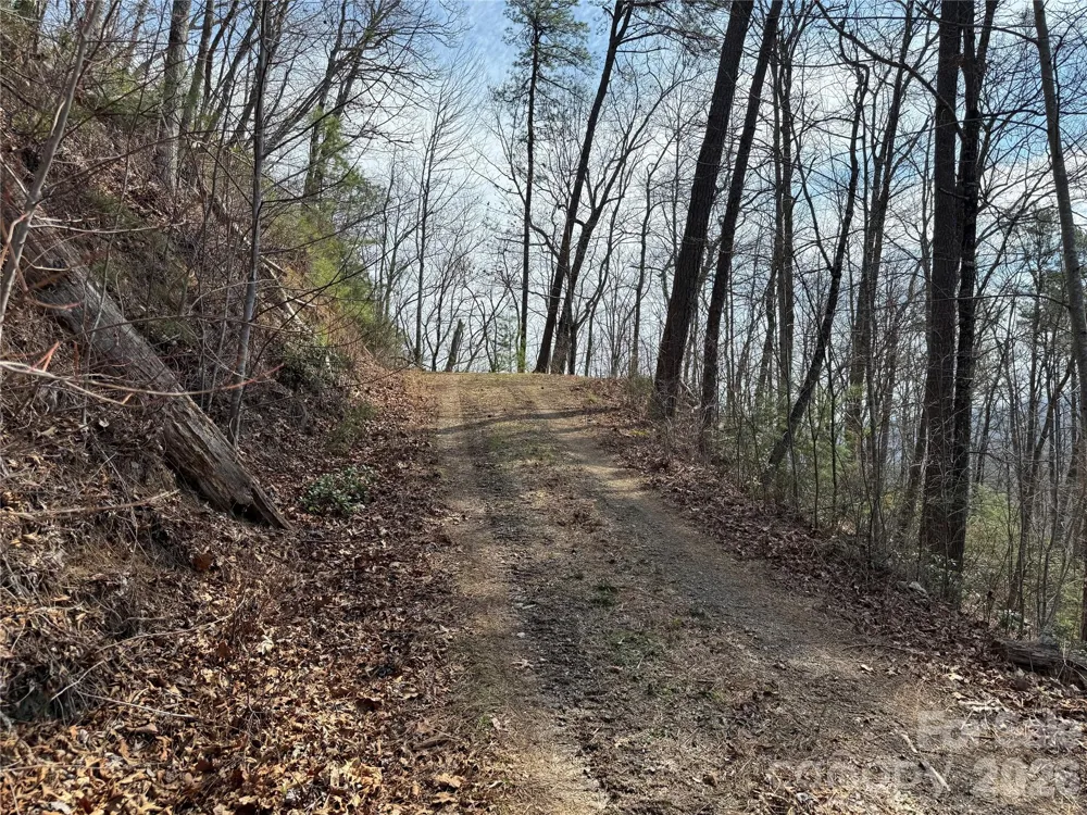 128 Mamies Way Robbinsville, NC 28771