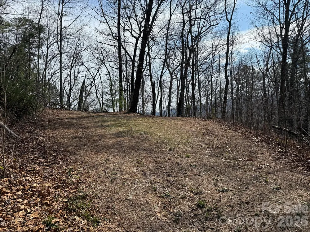 128 Mamies Way Robbinsville, NC 28771