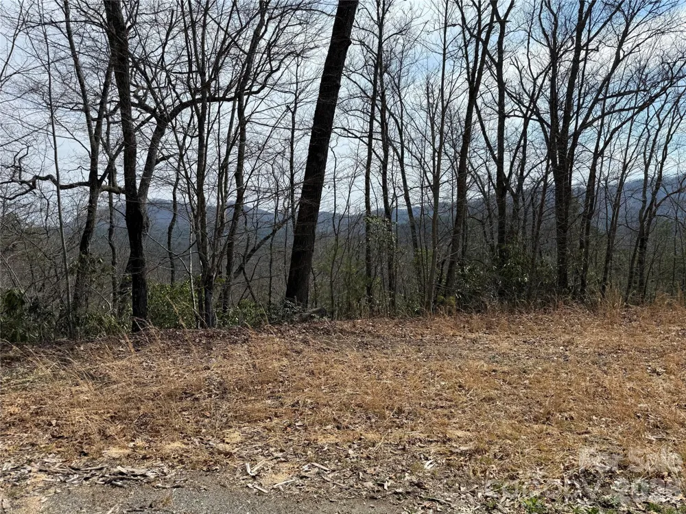 128 Mamies Way Robbinsville, NC 28771