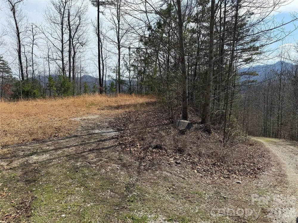 128 Mamies Way Robbinsville, NC 28771