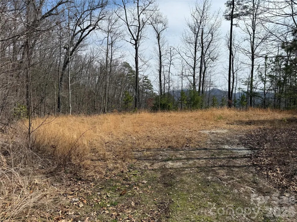 128 Mamies Way Robbinsville, NC 28771