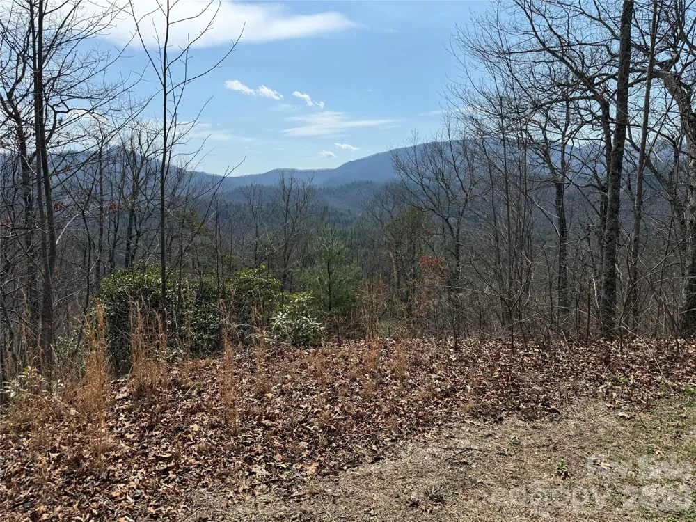 128 Mamies Way Robbinsville, NC 28771