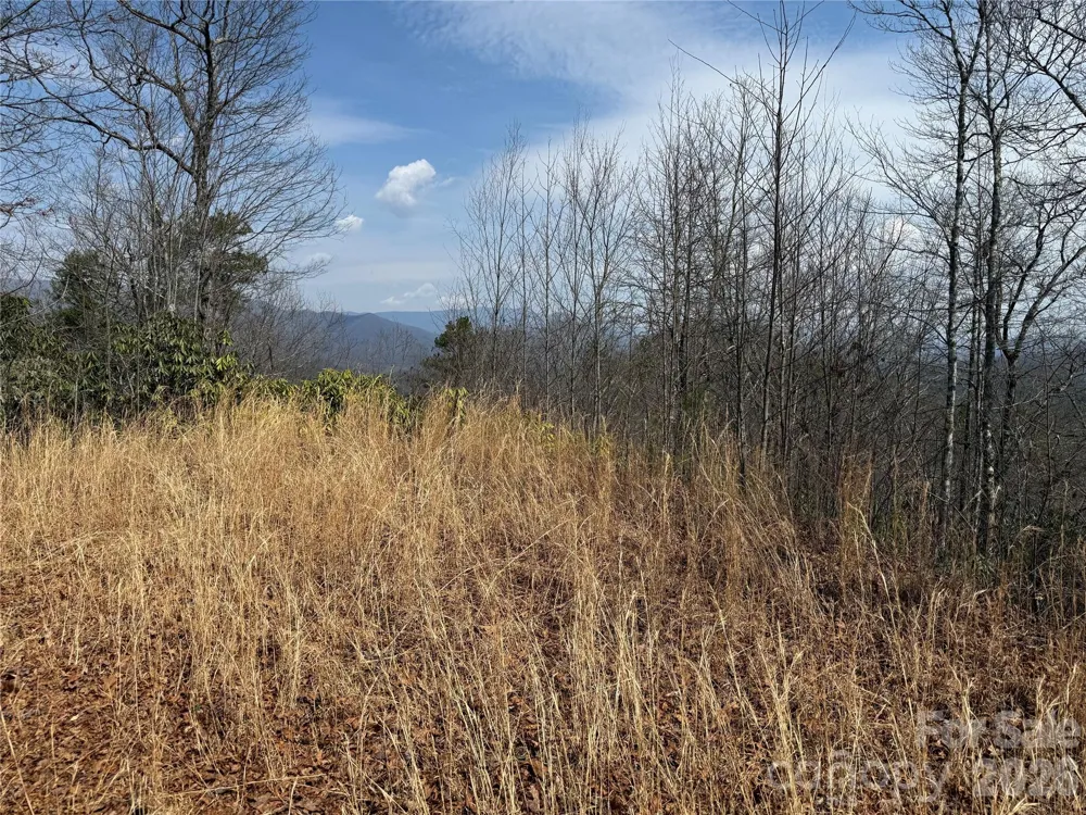 128 Mamies Way Robbinsville, NC 28771