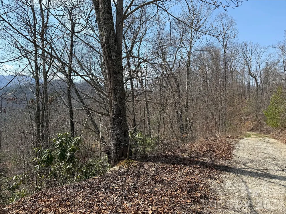 128 Mamies Way Robbinsville, NC 28771