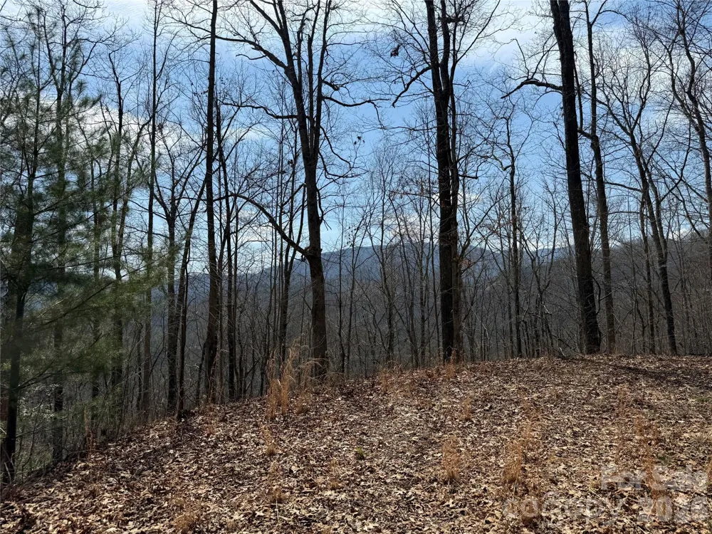 128 Mamies Way Robbinsville, NC 28771
