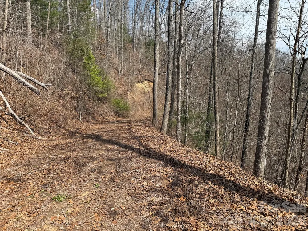 128 Mamies Way Robbinsville, NC 28771