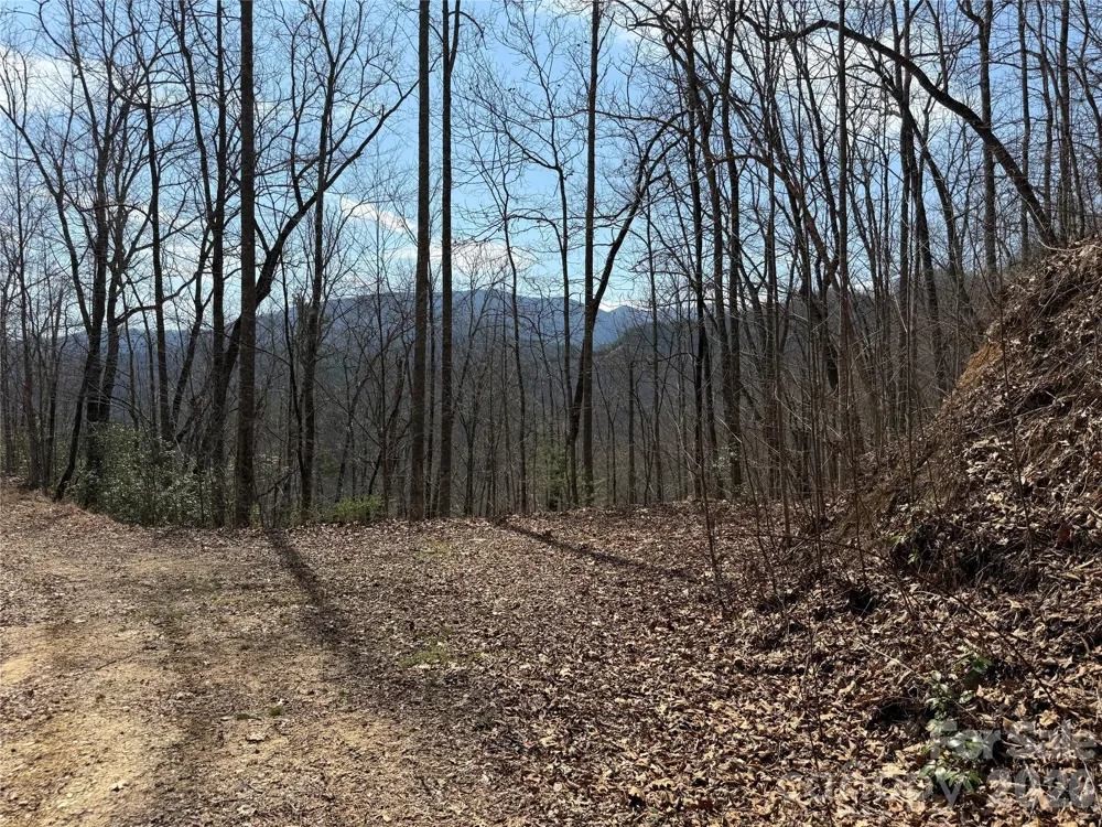 128 Mamies Way Robbinsville, NC 28771