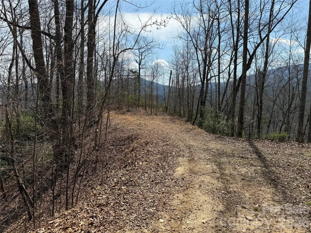 128 Mamies Way Robbinsville, NC 28771