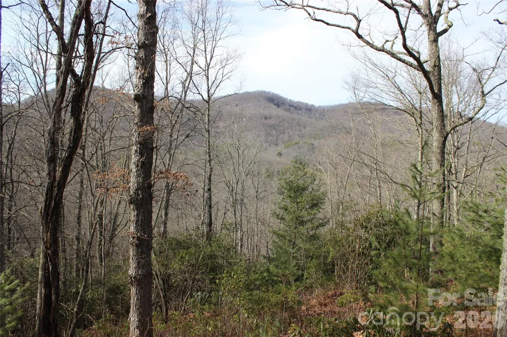 Lots 82 & 83 Waterdance Drive Tuckasegee, NC 28783