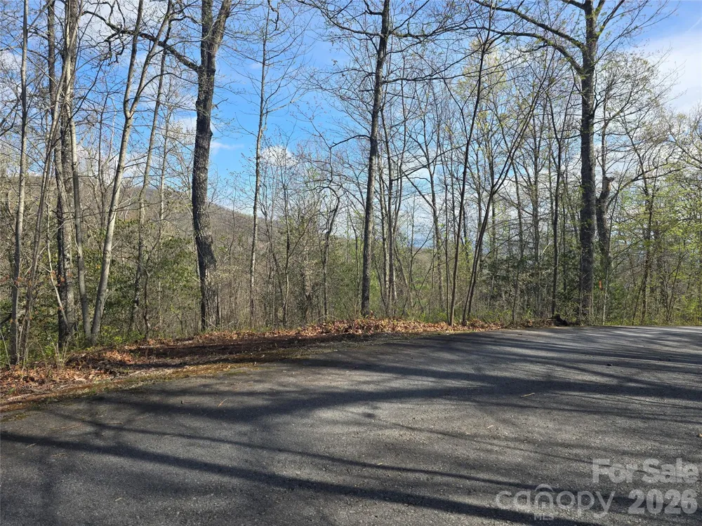 Lots 82 & 83 Waterdance Drive Tuckasegee, NC 28783