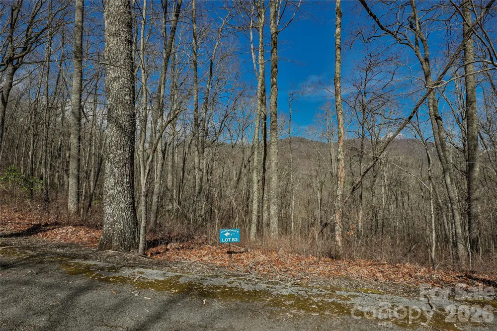 Lots 82 & 83 Waterdance Drive Tuckasegee, NC 28783