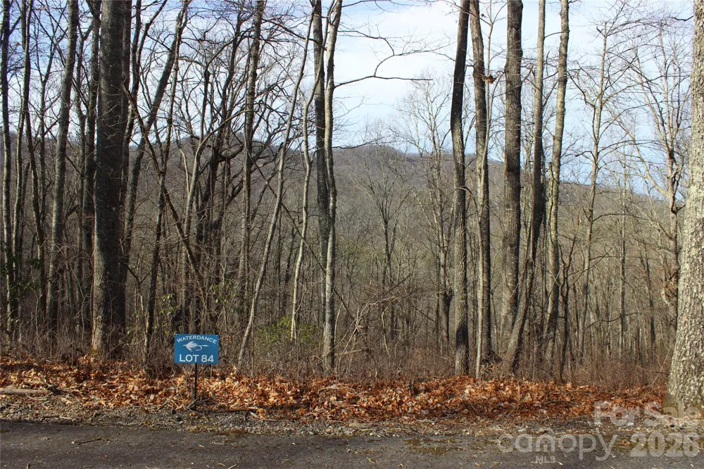 Lots 82 & 83 Waterdance Drive Tuckasegee, NC 28783