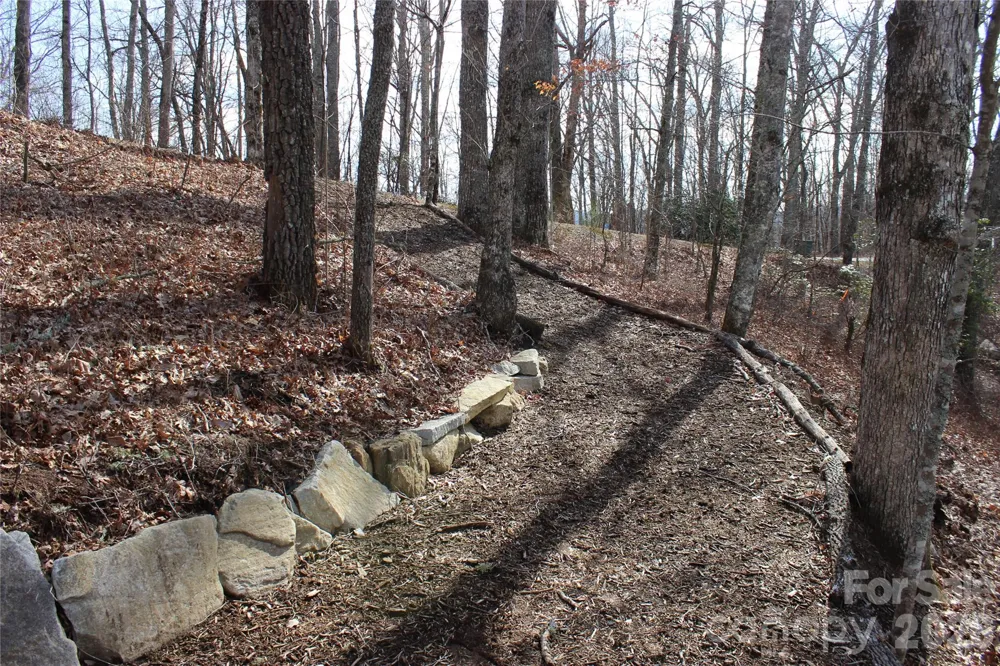 Lots 82 & 83 Waterdance Drive Tuckasegee, NC 28783