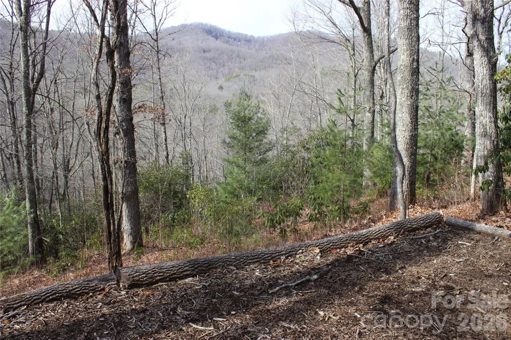 Lots 82 & 83 Waterdance Drive Tuckasegee, NC 28783