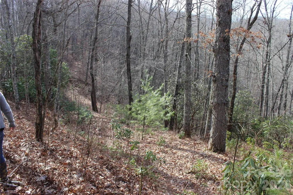 Lots 82 & 83 Waterdance Drive Tuckasegee, NC 28783