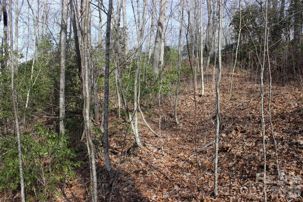 Lots 82 & 83 Waterdance Drive Tuckasegee, NC 28783