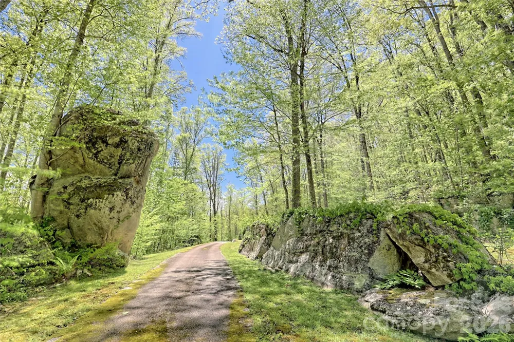Lots 82 & 83 Waterdance Drive Tuckasegee, NC 28783