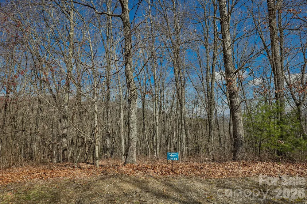 Lot 85 Waterdance Drive Tuckasegee, NC 28783