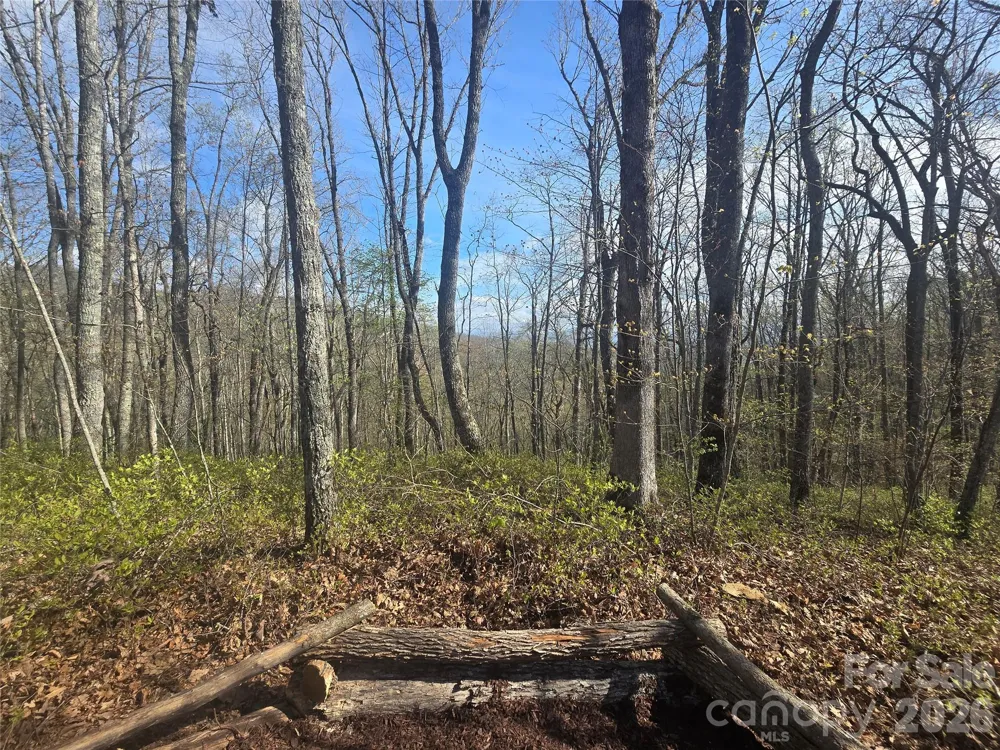 Lot 85 Waterdance Drive Tuckasegee, NC 28783