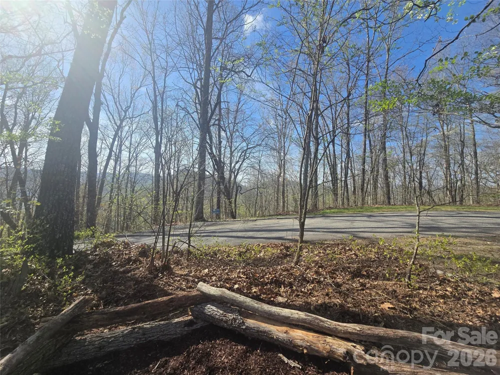 Lot 85 Waterdance Drive Tuckasegee, NC 28783