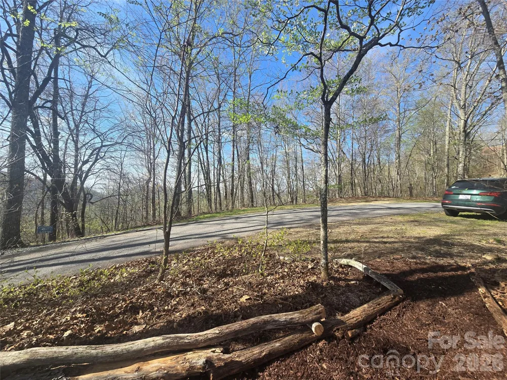 Lot 85 Waterdance Drive Tuckasegee, NC 28783