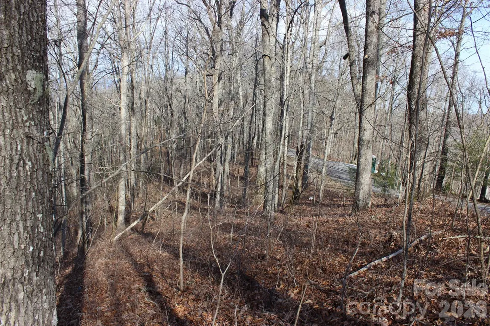 Lot 84 Waterdance Drive Tuckasegee, NC 28783