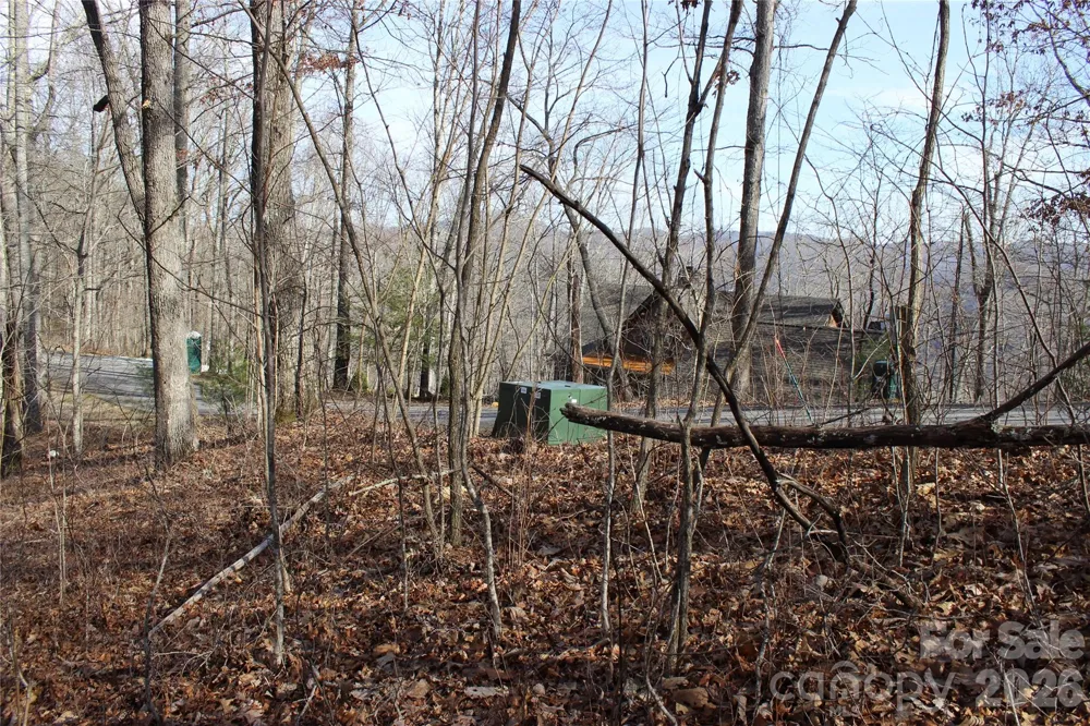Lot 84 Waterdance Drive Tuckasegee, NC 28783