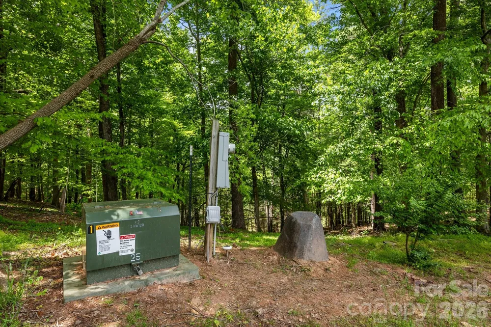411 Big Sandy Mush Road Leicester, NC 28748