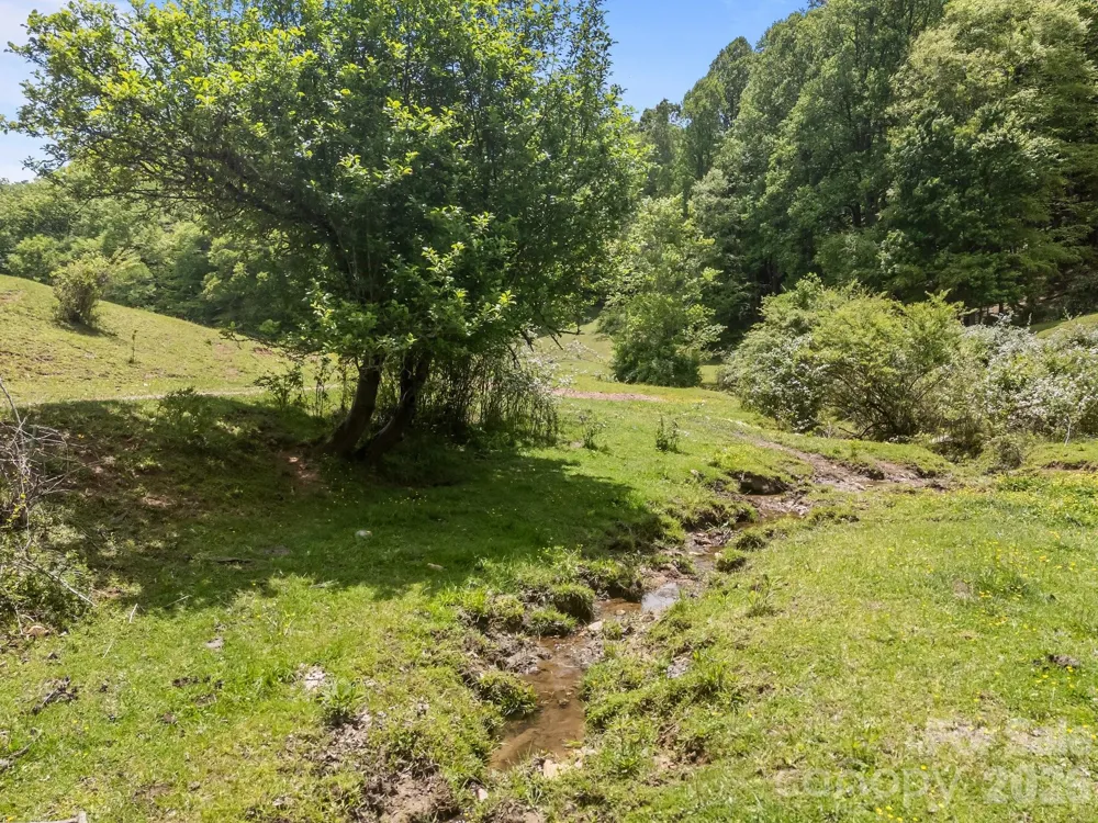 411 Big Sandy Mush Road Leicester, NC 28748