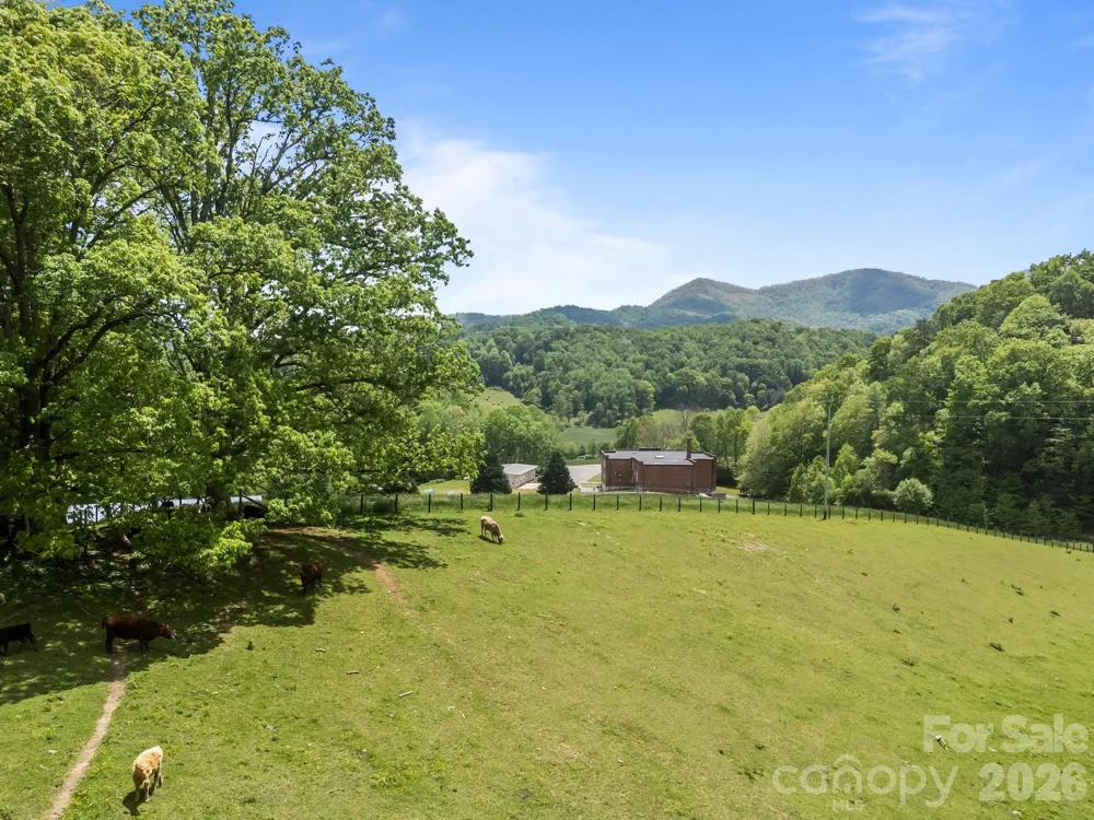 411 Big Sandy Mush Road Leicester, NC 28748