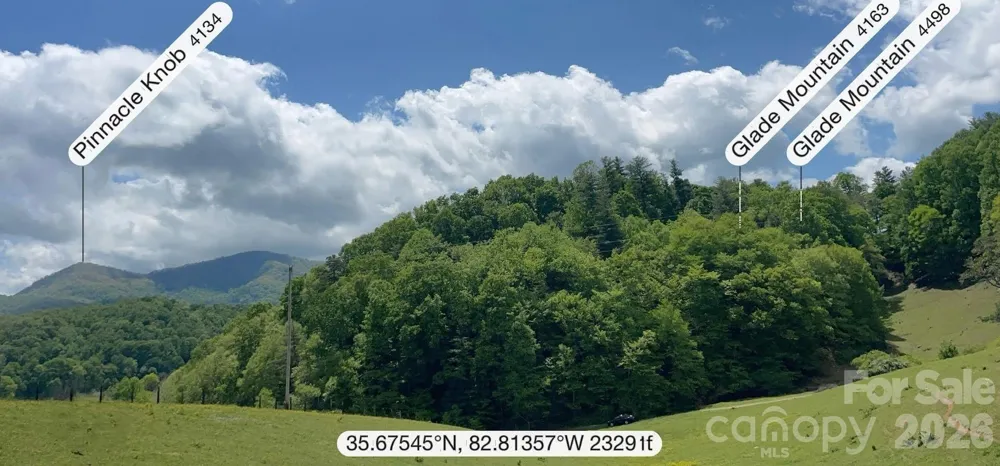 411 Big Sandy Mush Road Leicester, NC 28748