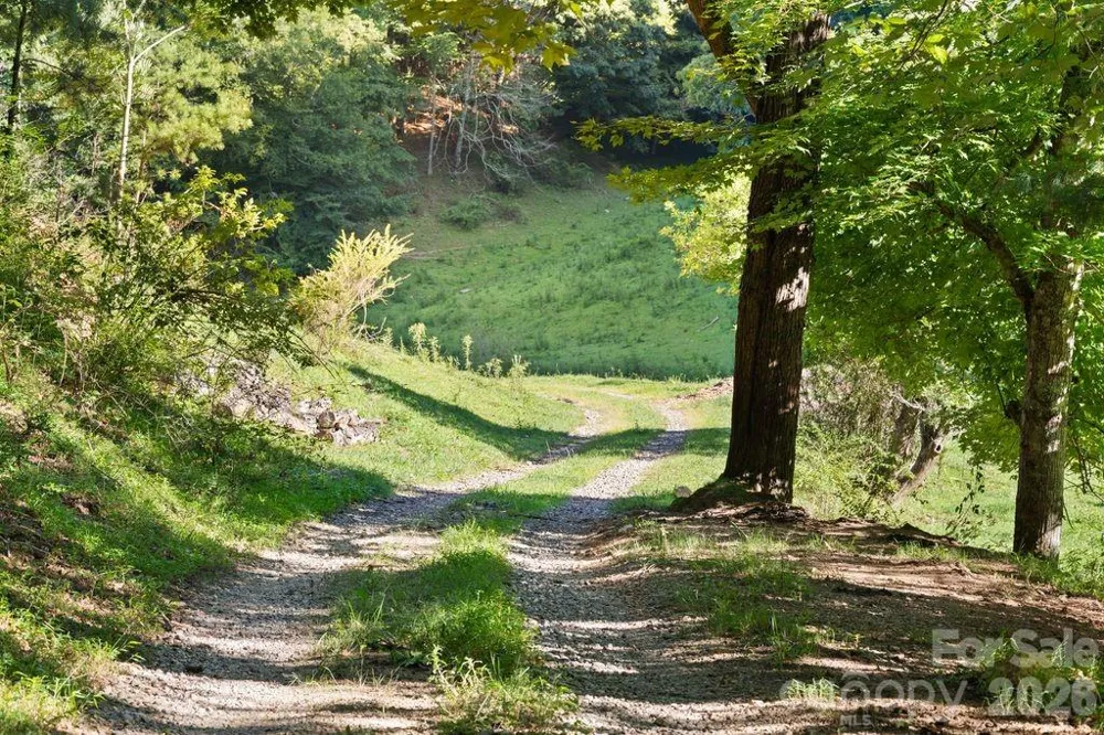 411 Big Sandy Mush Road Leicester, NC 28748
