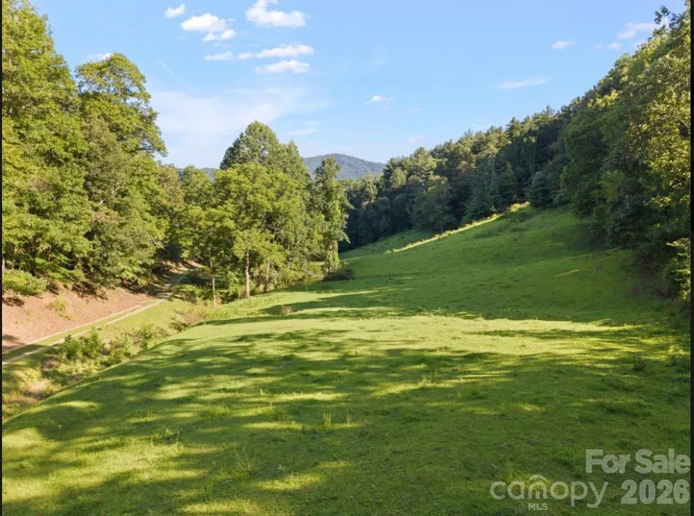 411 Big Sandy Mush Road Leicester, NC 28748