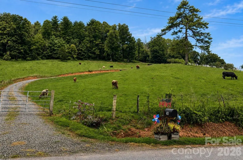 411 Big Sandy Mush Road Leicester, NC 28748