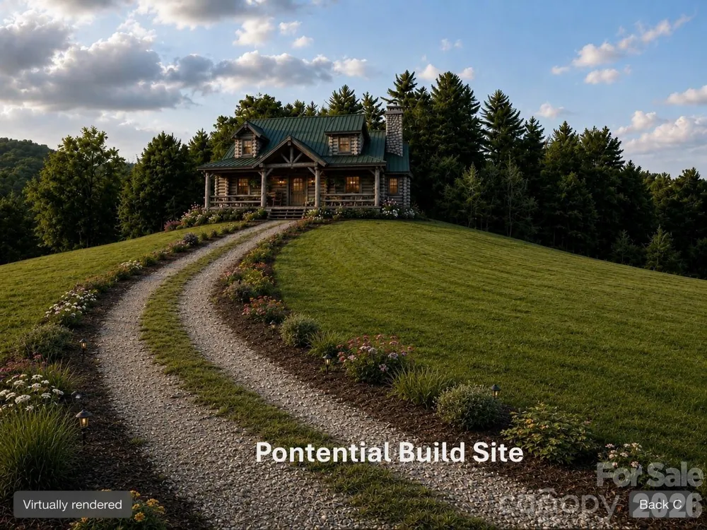 411 Big Sandy Mush Road Leicester, NC 28748