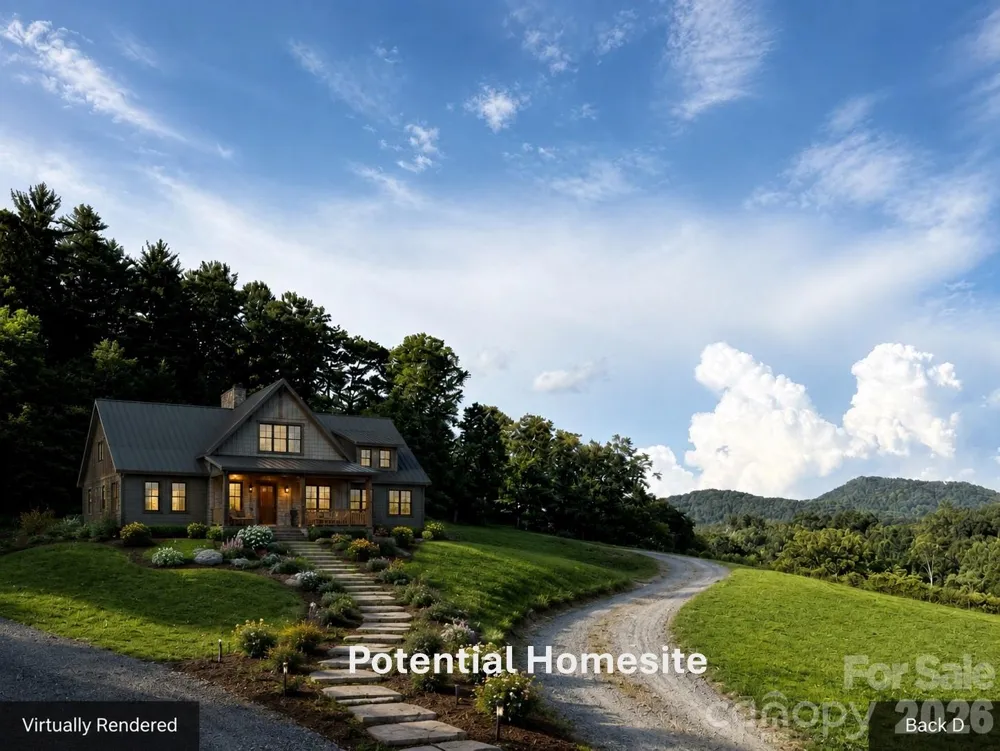 411 Big Sandy Mush Road Leicester, NC 28748