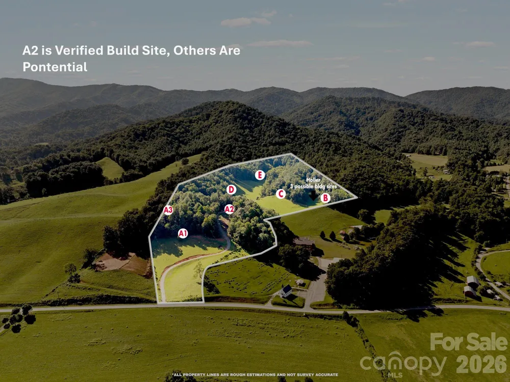 411 Big Sandy Mush Road Leicester, NC 28748