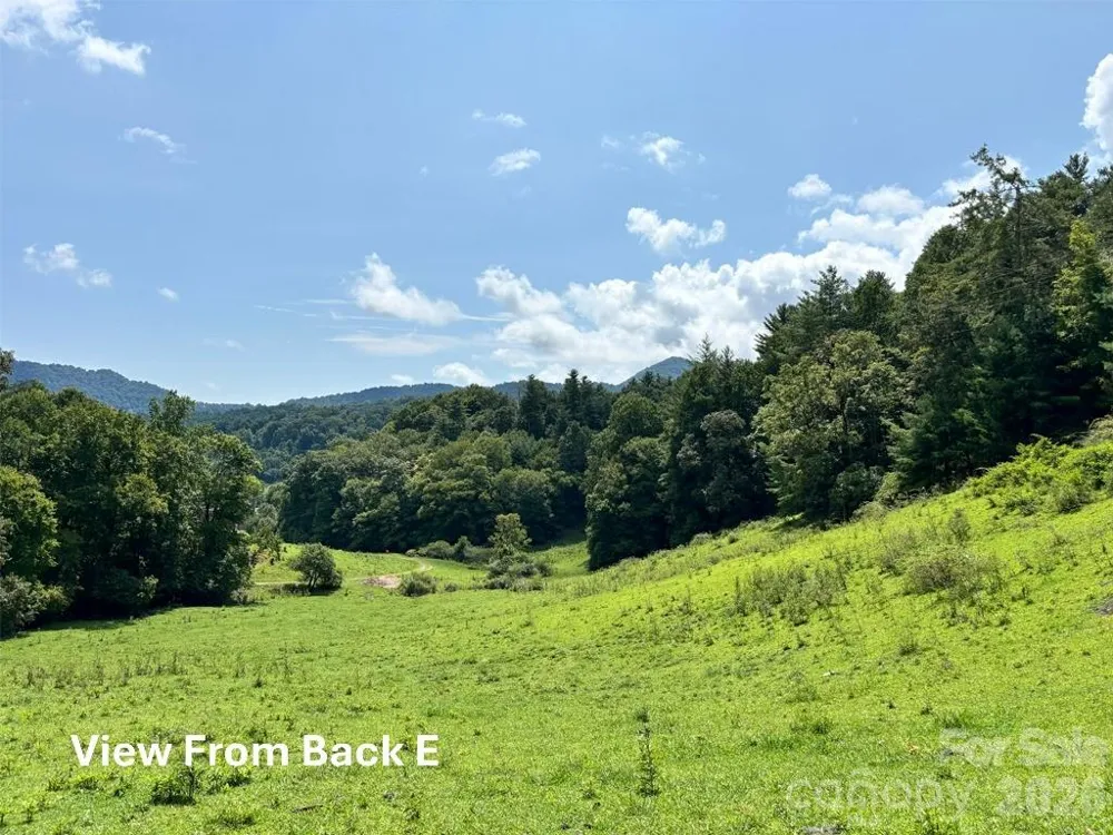 411 Big Sandy Mush Road Leicester, NC 28748