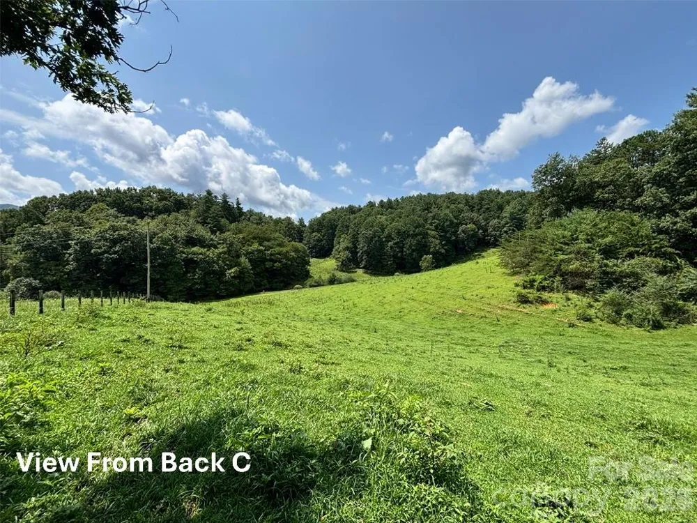 411 Big Sandy Mush Road Leicester, NC 28748
