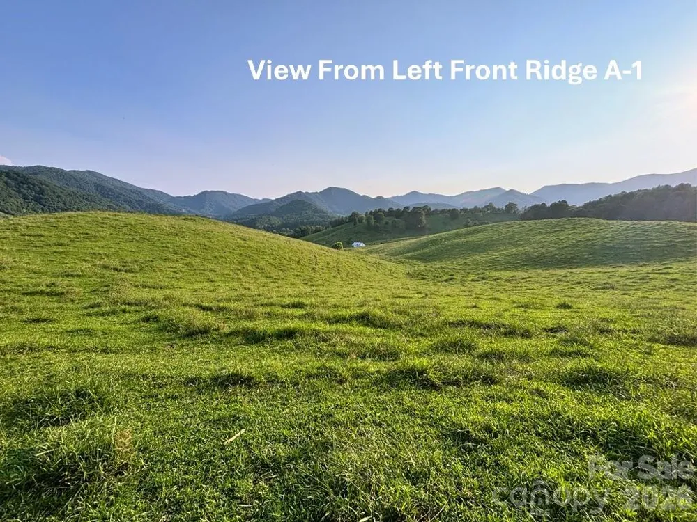 411 Big Sandy Mush Road Leicester, NC 28748