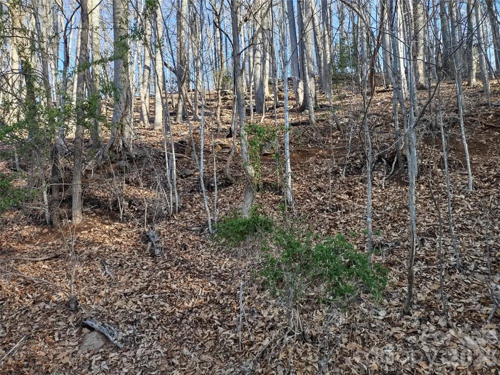 99999 Cedar Drive #273 Mills River, NC 28759