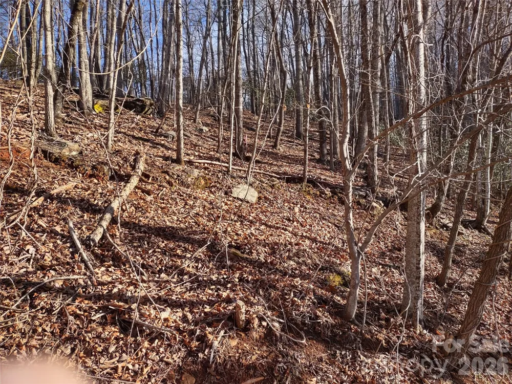 99999 Cedar Drive #273 Mills River, NC 28759