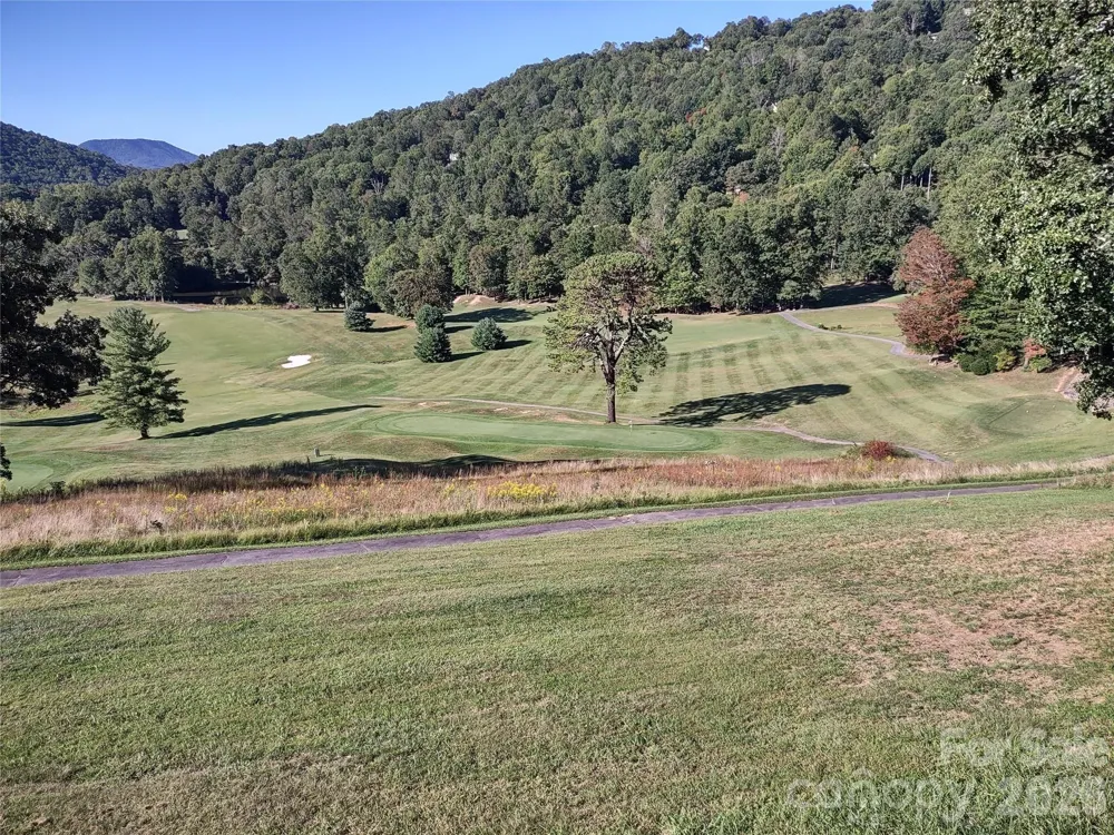 99999 Cedar Drive #273 Mills River, NC 28759