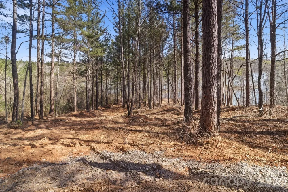199 Table Rock Trace NW #130 Valdese, NC 28690