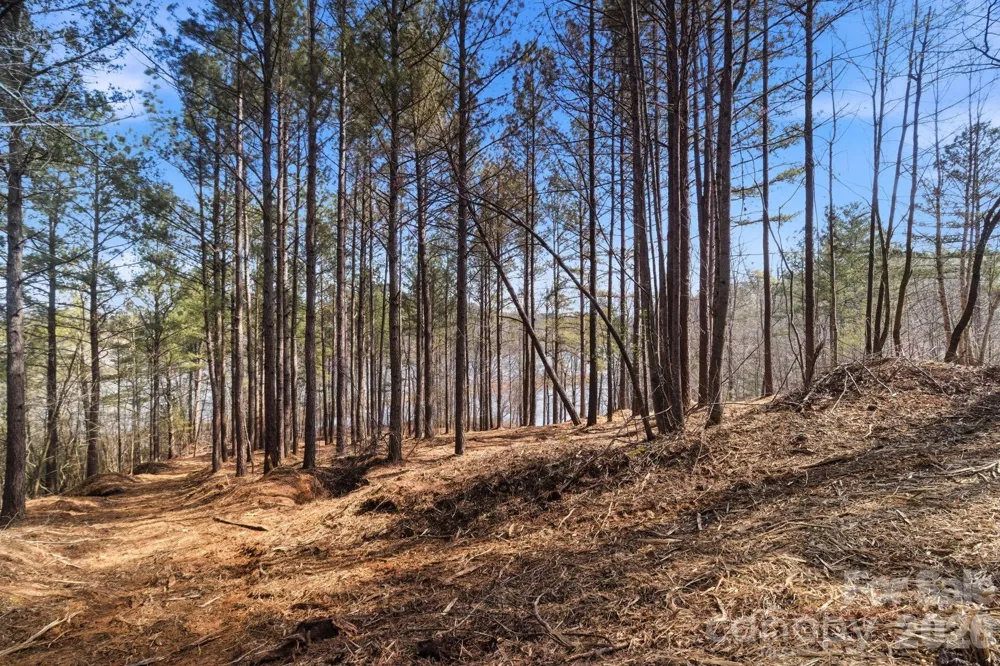 199 Table Rock Trace NW #130 Valdese, NC 28690