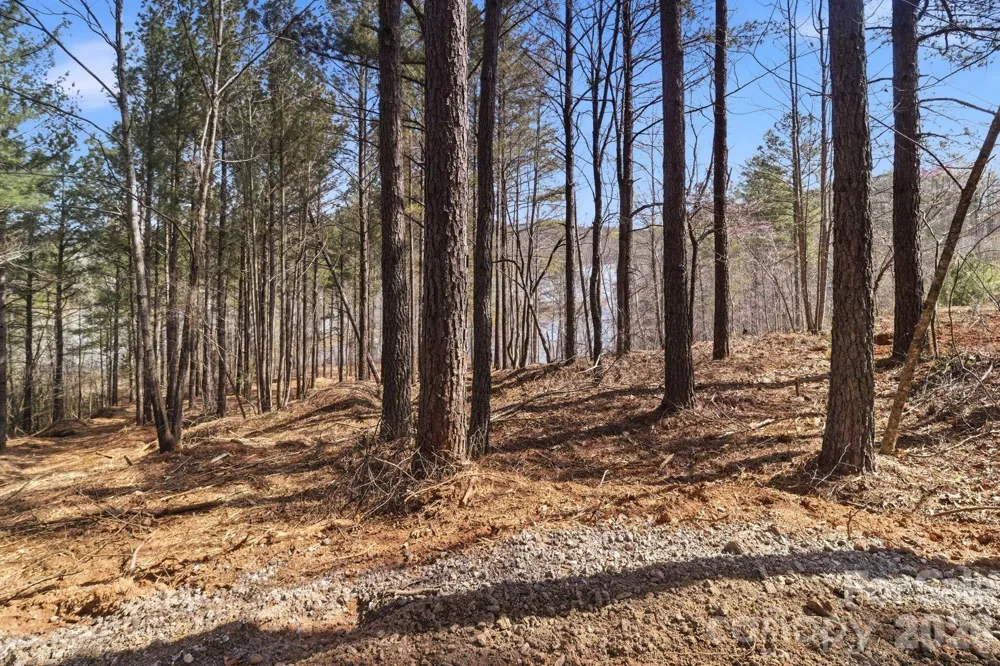 199 Table Rock Trace NW #130 Valdese, NC 28690