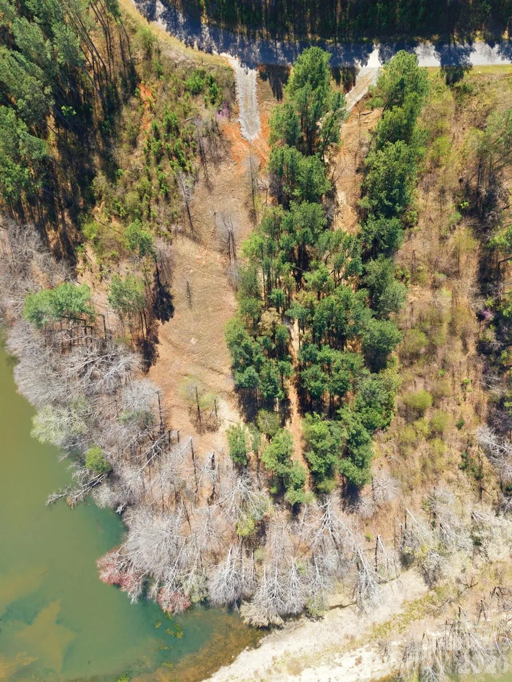 193 Table Rock Trace NW #129 Valdese, NC 28690
