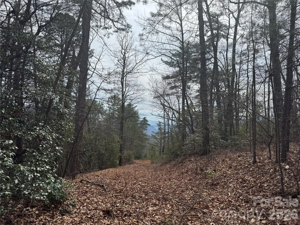 850 Harmonys Edge Drive #850 Old Fort, NC 28762