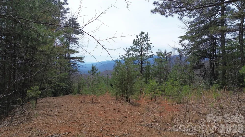 850 Harmonys Edge Drive #850 Old Fort, NC 28762